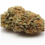 Шишки AK47  (Гидропоника, Бошка) VHQ  