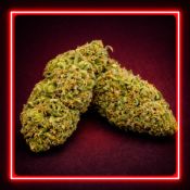 Шишки марихуаны Critical Kush (ТГК 25%)  